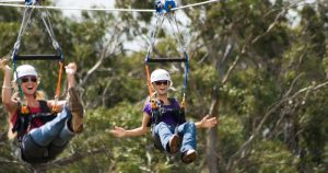 a young man in a swing