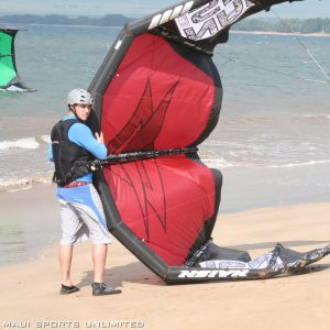 a person flying a kite on the beach